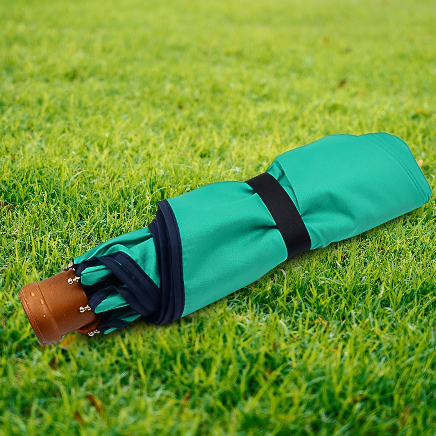 Foldable Umbrella Foldable Umbrella